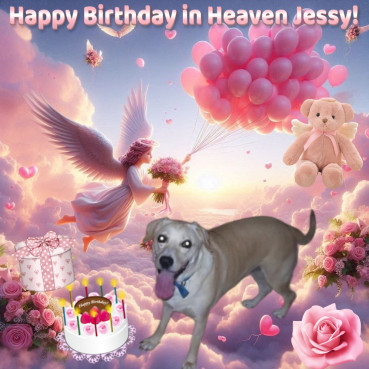 Shahorik uploaded   1  day/s  ago