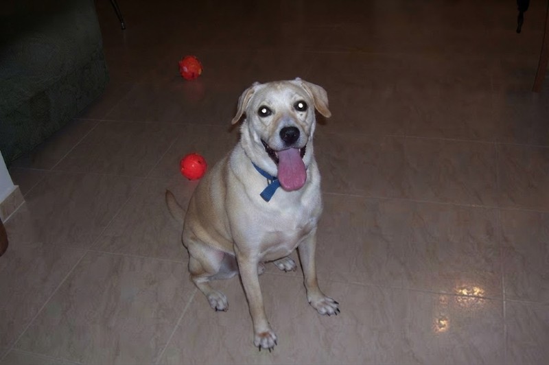 Jessy(Shahorik)