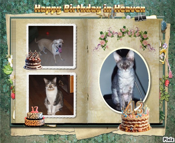 Shahorik uploaded   1  day/s  ago