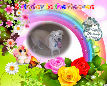 Shahorik uploaded   1  day/s  ago