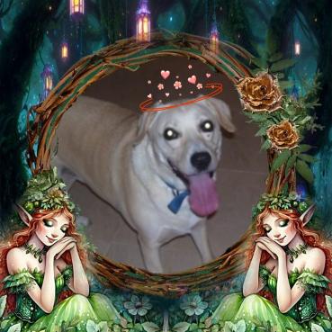 Jessy of the Shahorik family