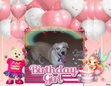 Shahorik uploaded   8 hour/s ago