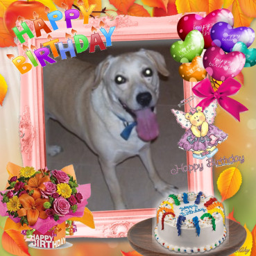 Shahorik uploaded   1  day/s  ago