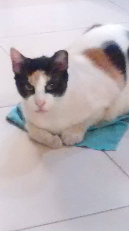 Princess of the SoniaW family