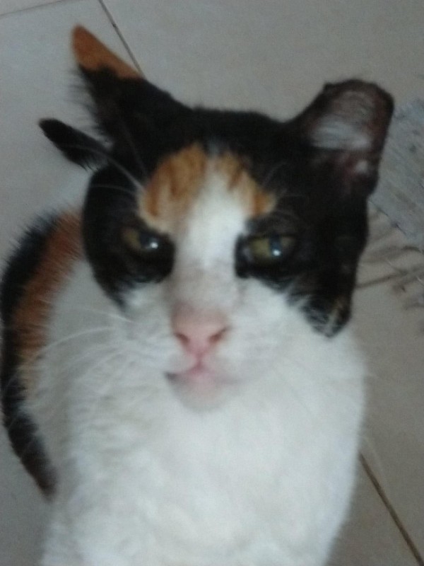 Princess of the SoniaW family