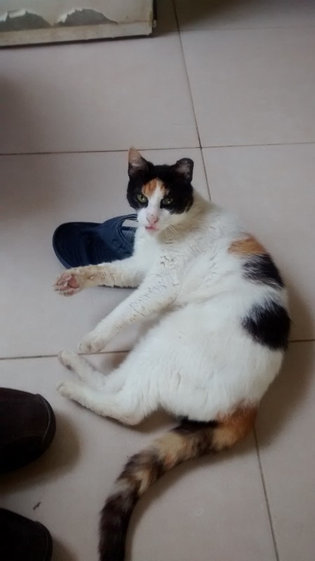 Princess of the SoniaW family