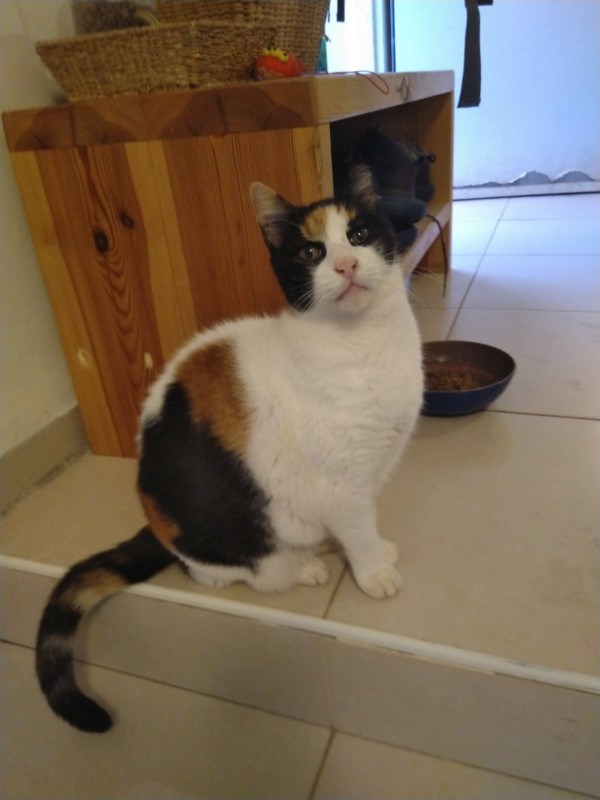 Princess of the SoniaW family