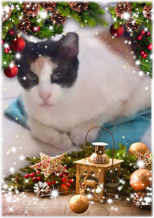 Princess of the SoniaW family