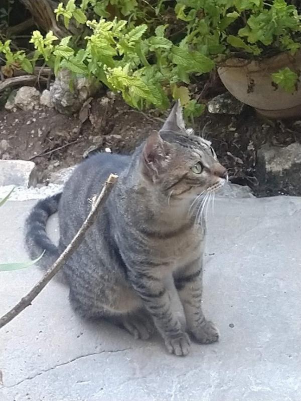 SoniaW uploaded   286  day/s  ago