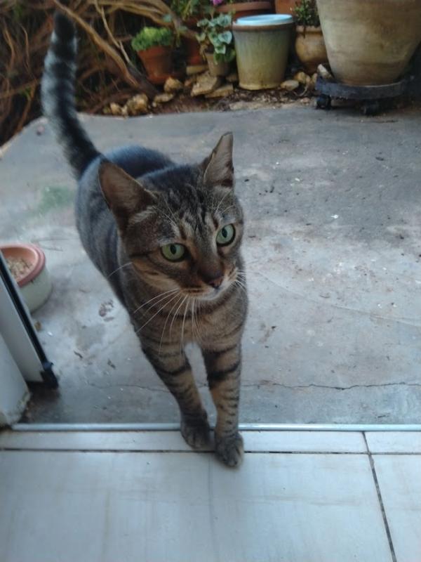 SoniaW uploaded   286  day/s  ago