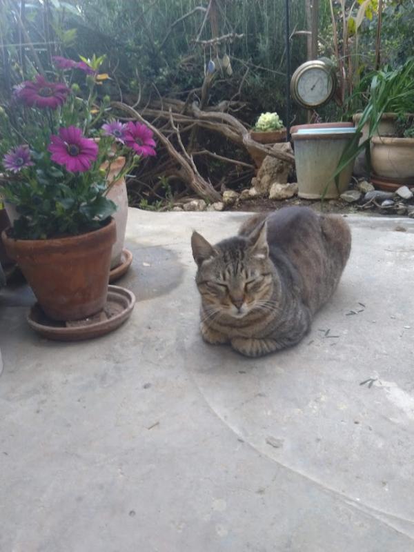 SoniaW uploaded   286  day/s  ago