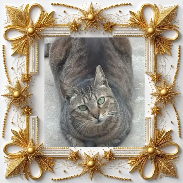 Squeak of the SoniaW family