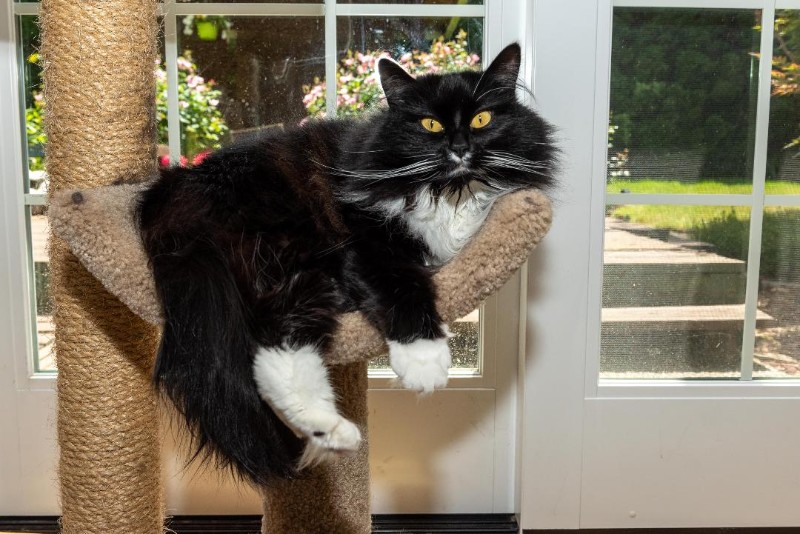 SweetSyd uploaded   6 year/s ago