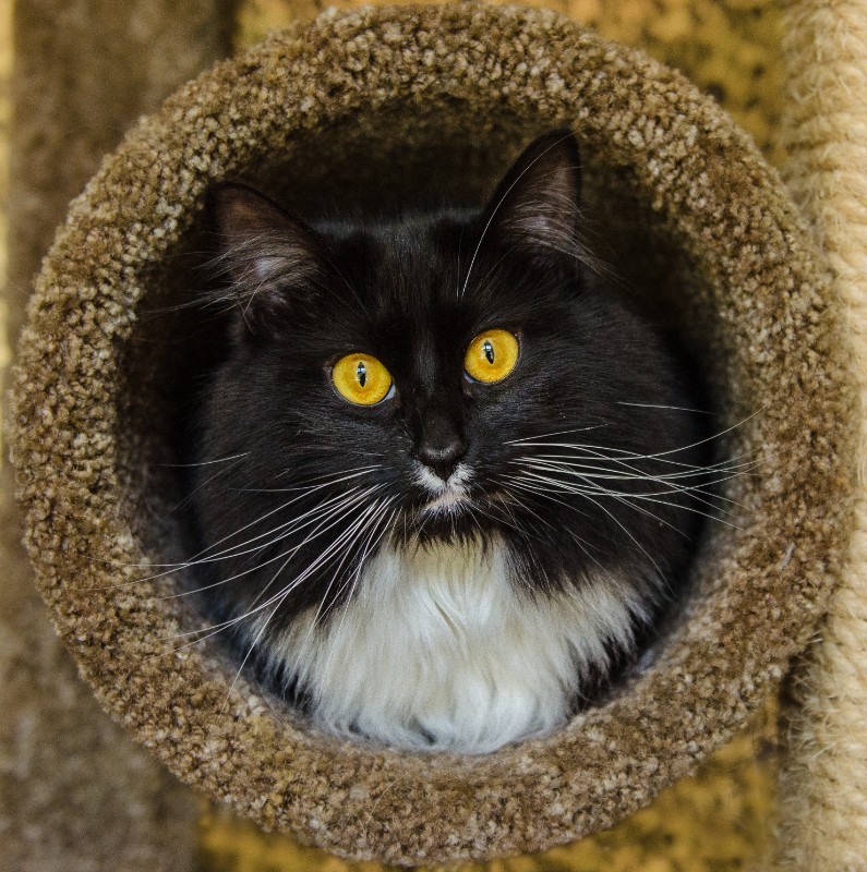 SweetSyd uploaded   6 year/s ago