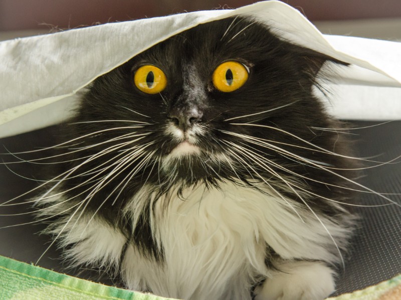 SweetSyd uploaded   6 year/s ago