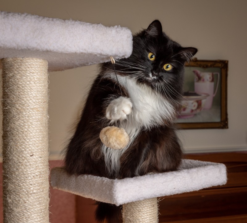 SweetSyd uploaded   6 year/s ago