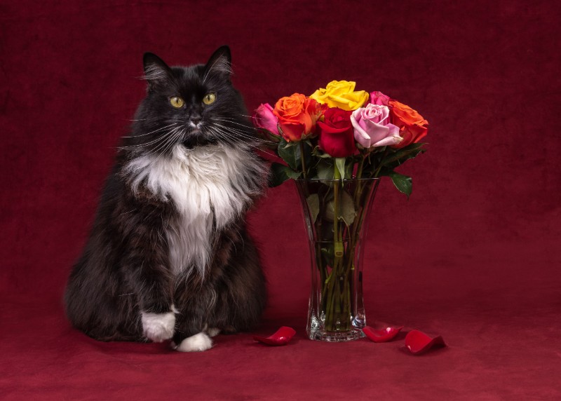 SweetSyd uploaded   6 year/s ago