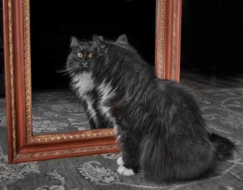 SweetSyd uploaded   5 year/s ago