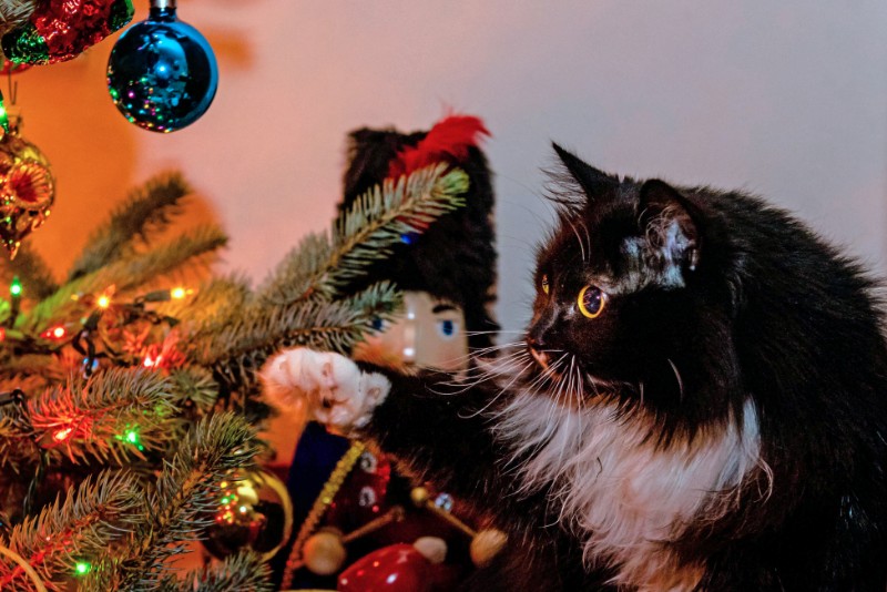 SweetSyd uploaded   4 year/s ago