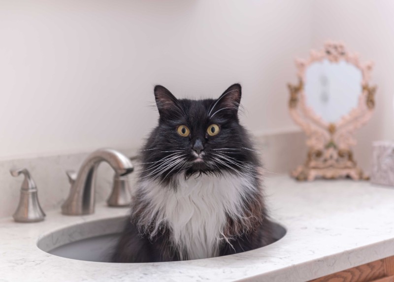 SweetSyd uploaded   3 year/s ago