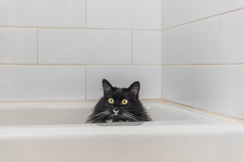 SweetSyd uploaded   2 year/s ago