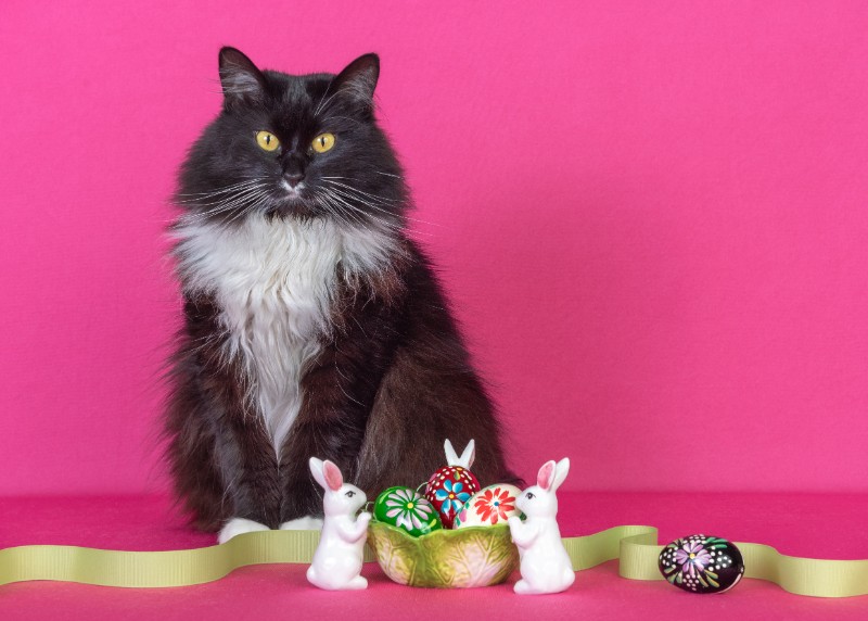 SweetSyd uploaded   5 year/s ago