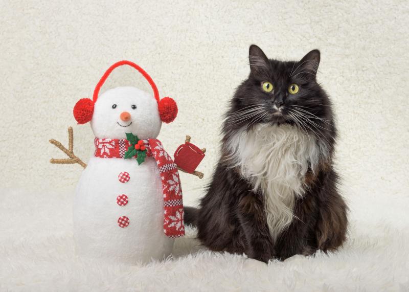 Sydney of the SweetSyd family