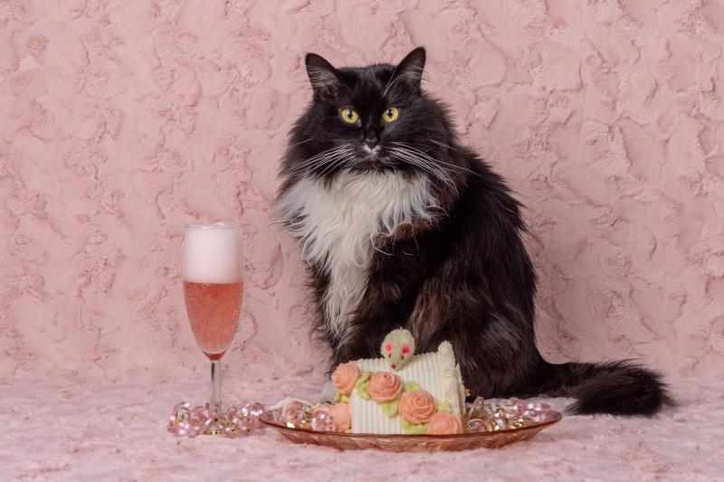 Sydney of the SweetSyd family