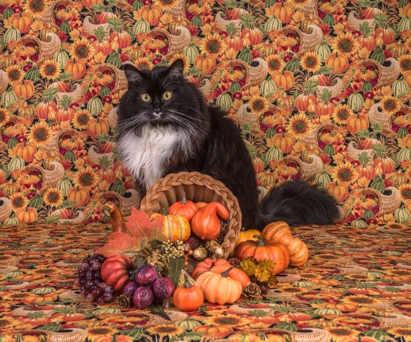 SweetSyd uploaded   2 year/s ago