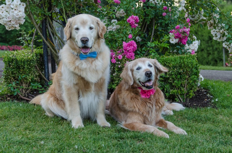 SweetSyd uploaded   6 year/s ago