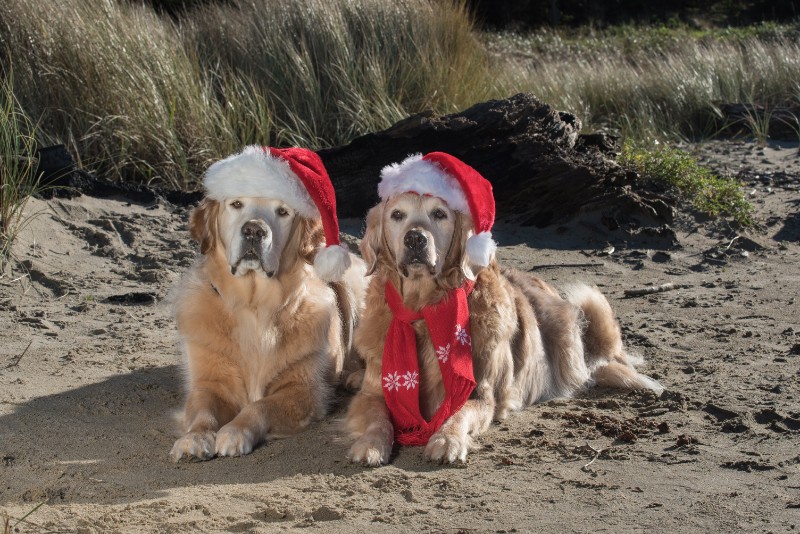 SweetSyd uploaded   6 year/s ago