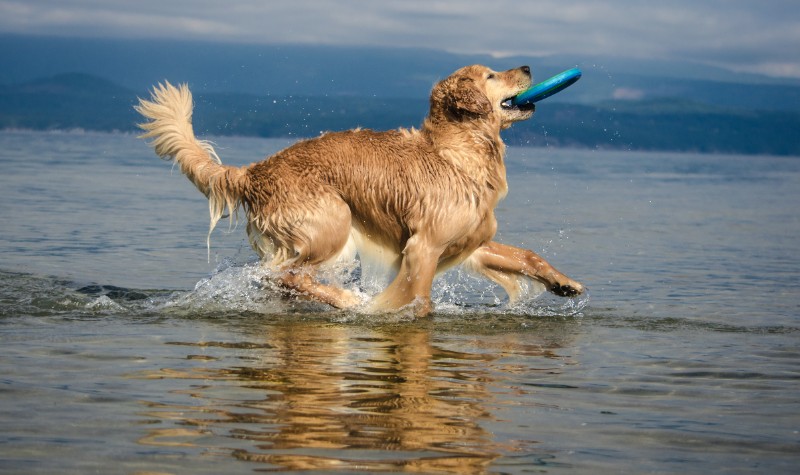 SweetSyd uploaded   6 year/s ago