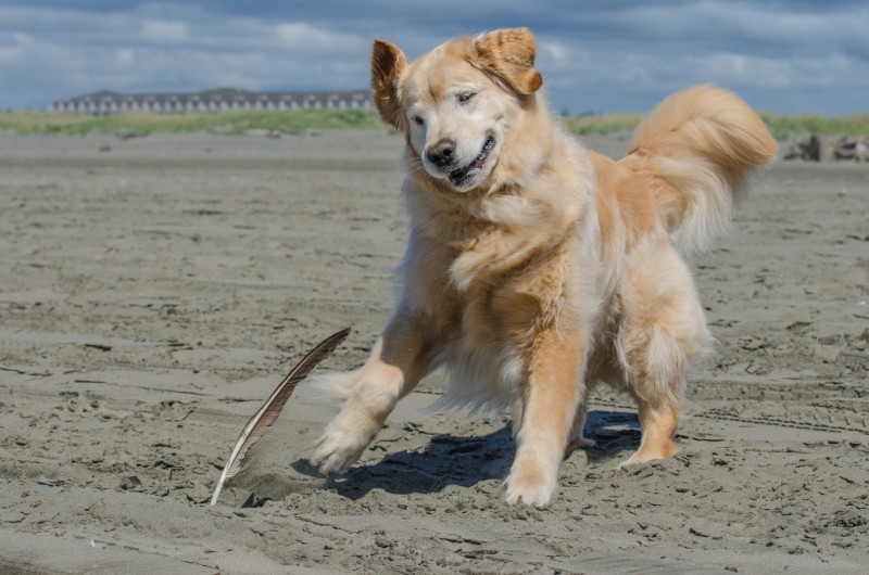 SweetSyd uploaded   6 year/s ago