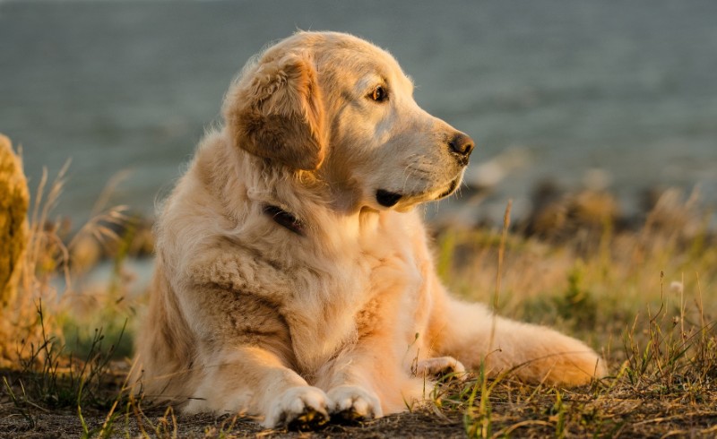 SweetSyd uploaded   6 year/s ago