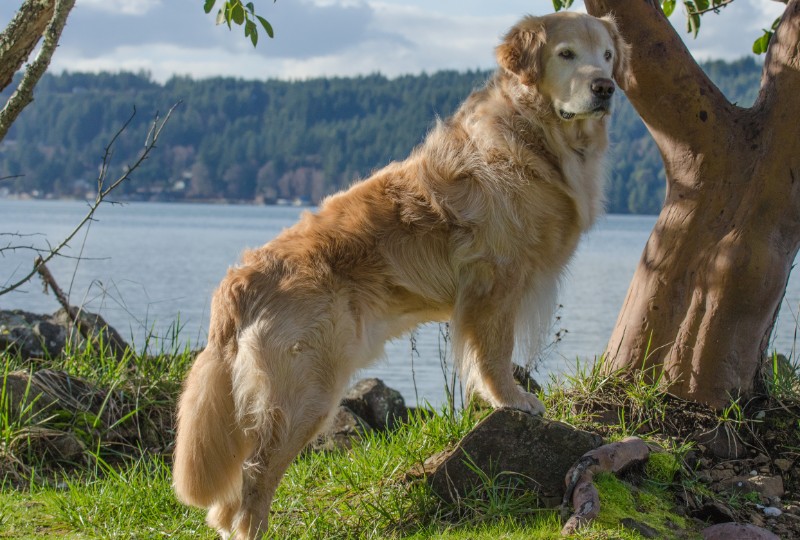 SweetSyd uploaded   6 year/s ago