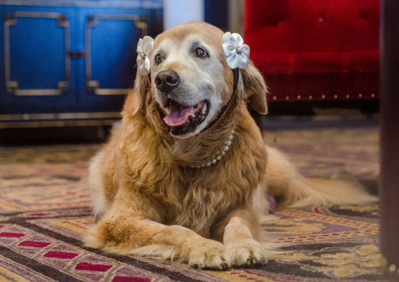 SweetSyd uploaded   6 year/s ago