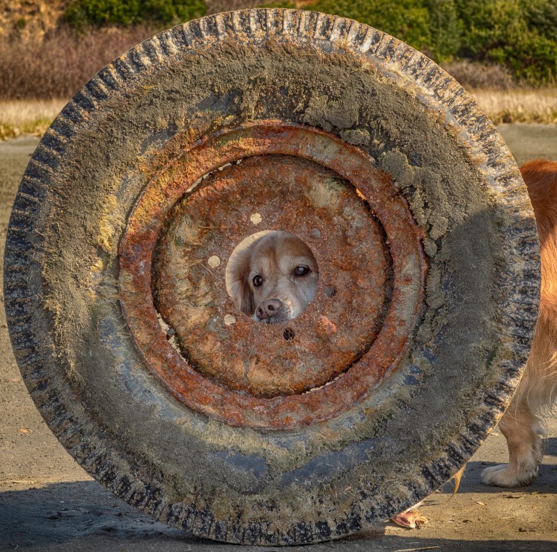 SweetSyd uploaded   5 year/s ago