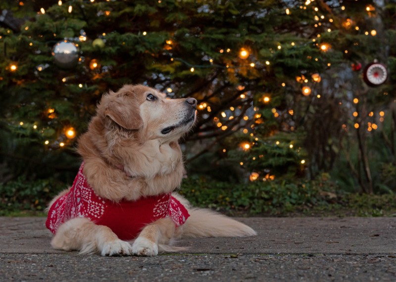 SweetSyd uploaded   5 year/s ago