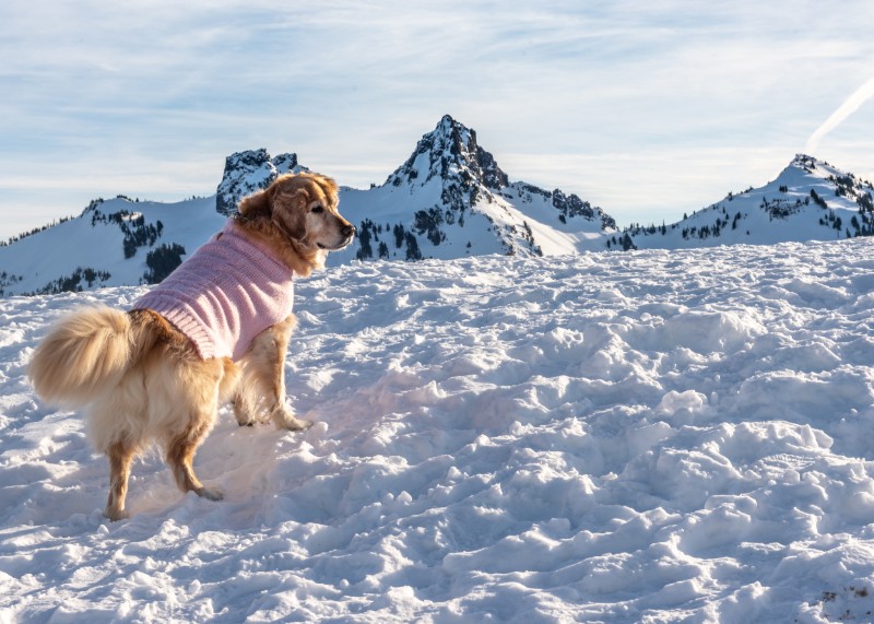 SweetSyd uploaded   5 year/s ago