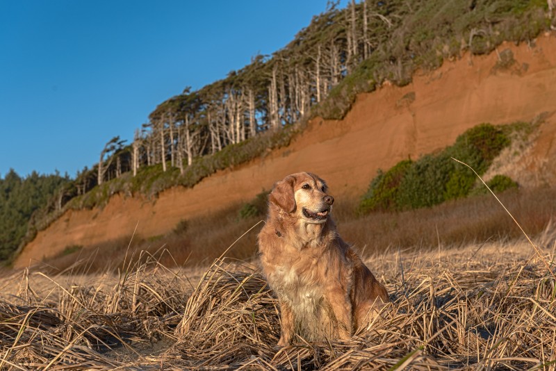 SweetSyd uploaded   4 year/s ago