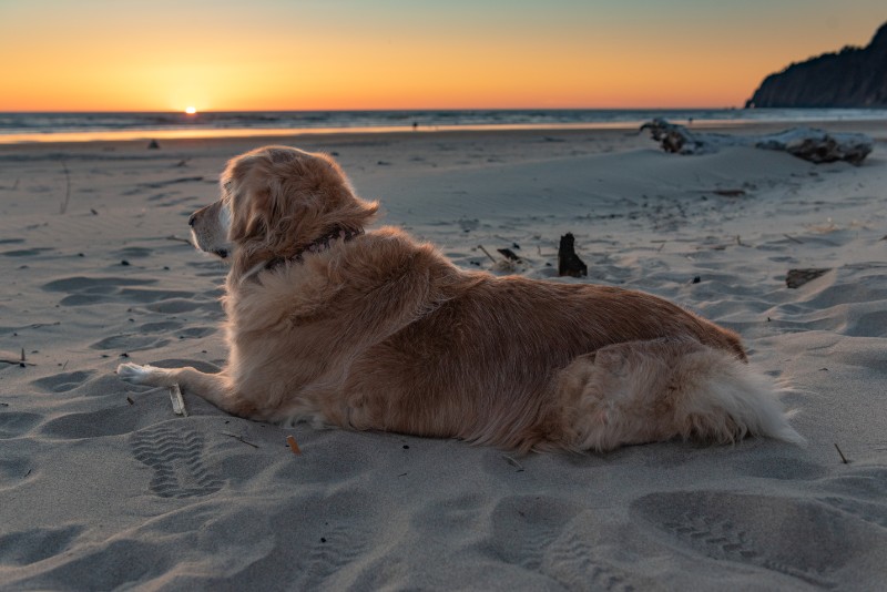 SweetSyd uploaded   4 year/s ago