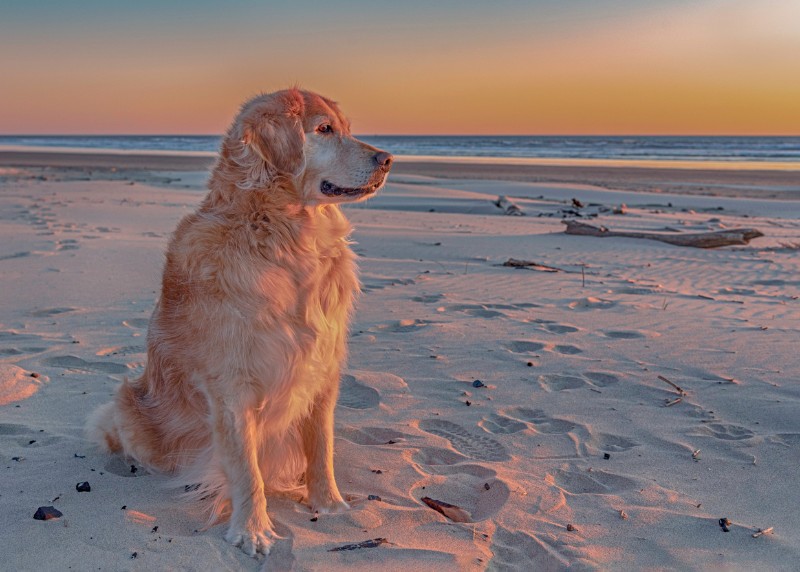 SweetSyd uploaded   4 year/s ago