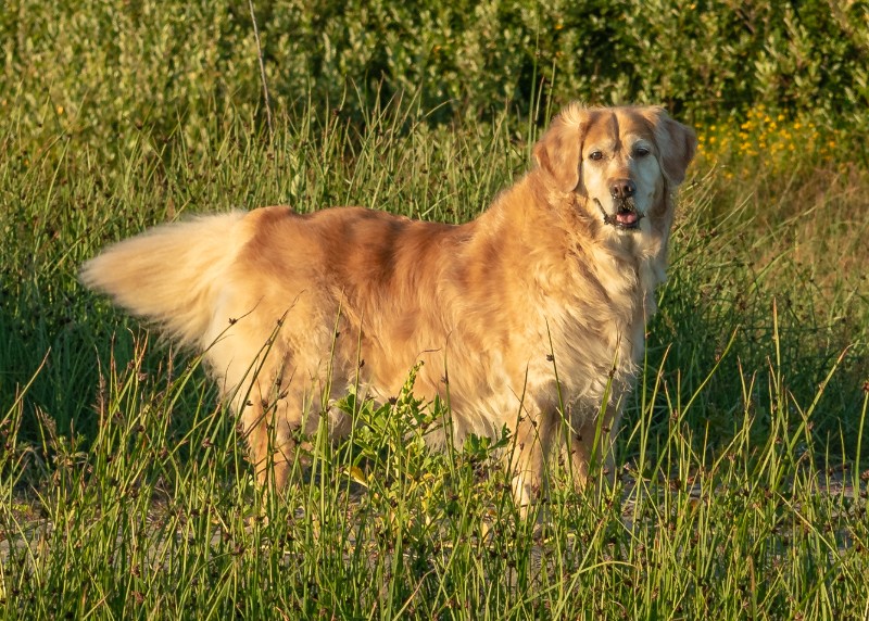 SweetSyd uploaded   4 year/s ago