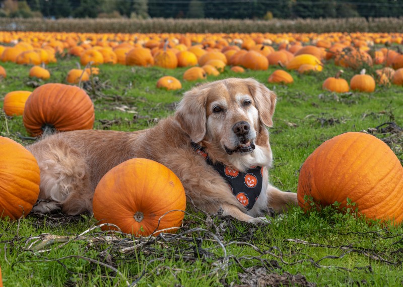 SweetSyd uploaded   4 year/s ago