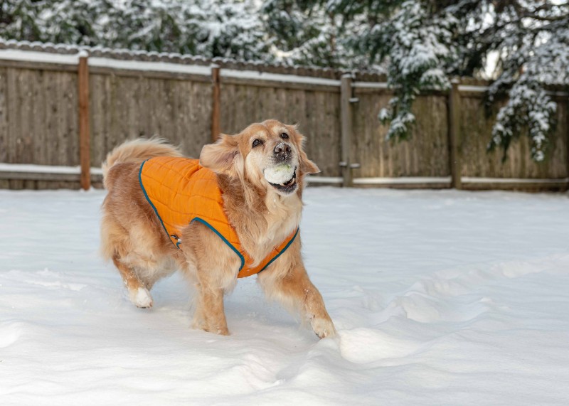 SweetSyd uploaded   4 year/s ago