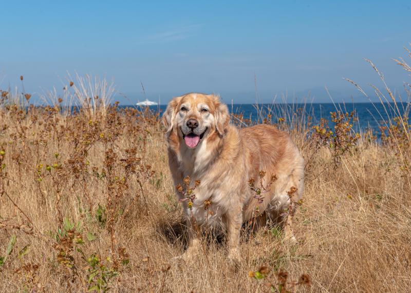 SweetSyd uploaded   3 year/s ago