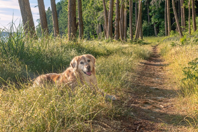 SweetSyd uploaded   2 year/s ago