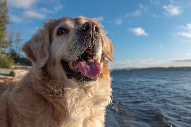 SweetSyd uploaded   2 year/s ago