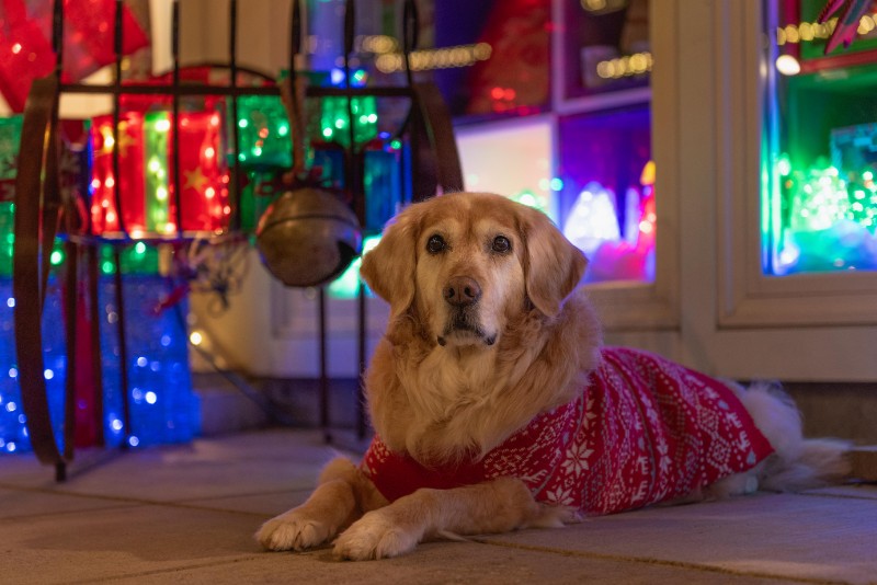 SweetSyd uploaded   2 year/s ago