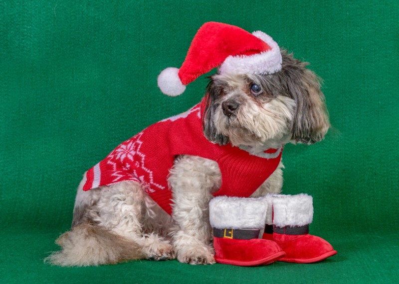 SweetSyd uploaded   5 year/s ago